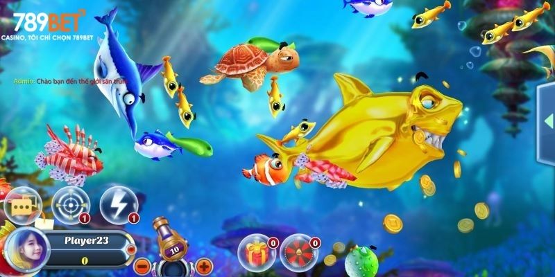 Thông tin cần nắm về game